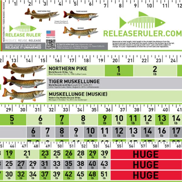 Pike Muskie Release Ruler