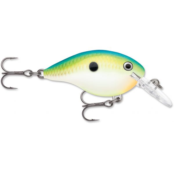 Rapala Dives To Crankbait Lure - DT04 CTSD Citrus Shad