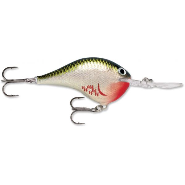 Rapala Dives To Crankbait Lures DT06 Bleeding Olive Shiner BOS