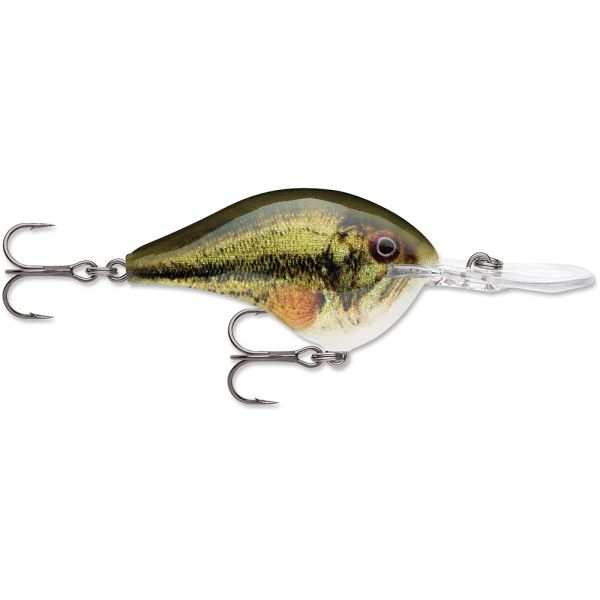 Rapala Dives-To Crankbait Lures DT08 - Live Largemouth Bass