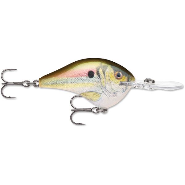 Rapala Dives-To Crankbait Lures DT08 - Live River Shad