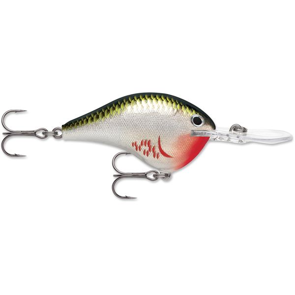 Rapala Dives-To Crankbait Lures DT08 - Bleeding Olive Shiner