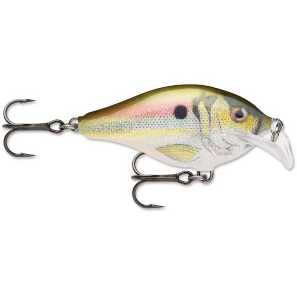 Rapala SRCR05 Scatter Rap Crank Lure RSL Live River Shad