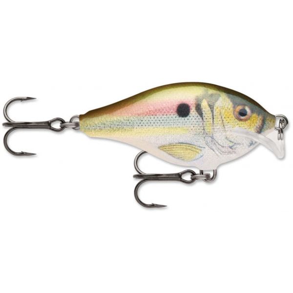 Rapala SSCRC05 Scatter Rap Crank Shallow Lure Live River Shad