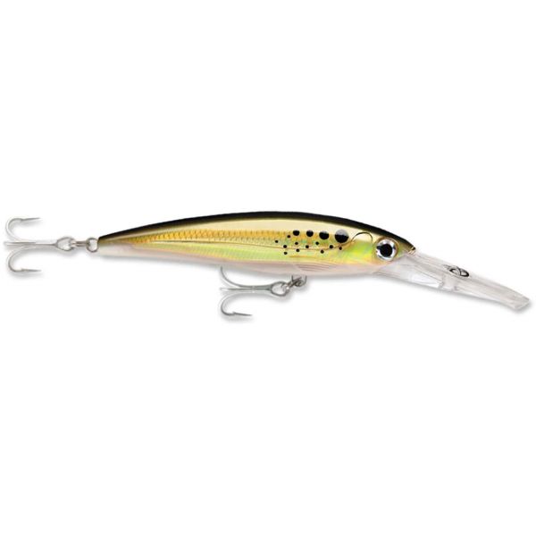 Rapala XRMAG10 X-Rap Magnum Lure BNK Bunker