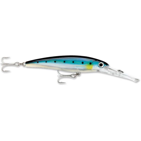 Rapala XRMAG10 X-Rap Magnum Lure BSRD Blue Sardine