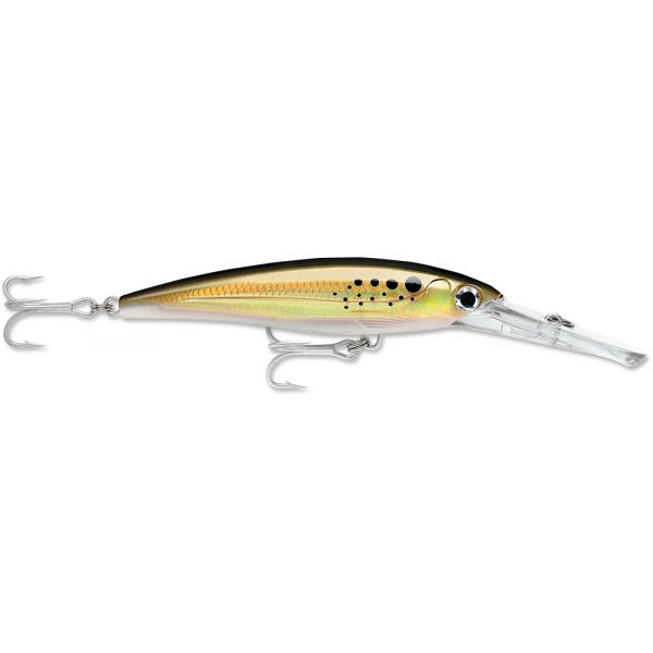 Rapala X-Rap XRMAG40 3D Magnum 40 Lure - Bunker