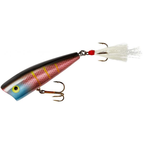 Rebel Magnum Pop-R - Purple Shad