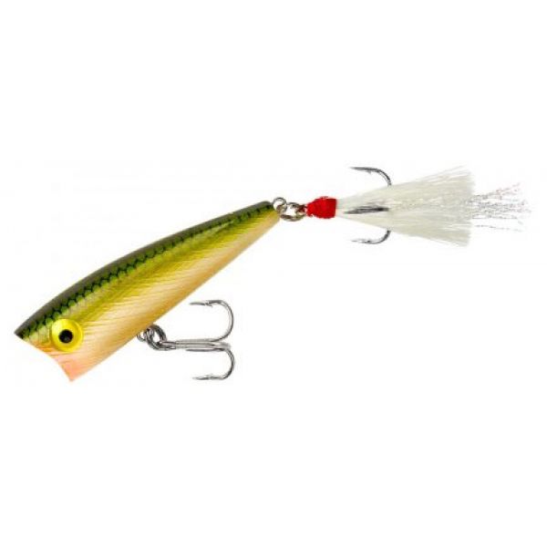 Rebel Magnum Pop-R - Tennessee Shad