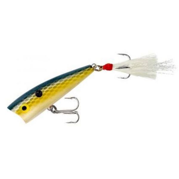 Rebel Magnum Pop-R - Foxy Shad