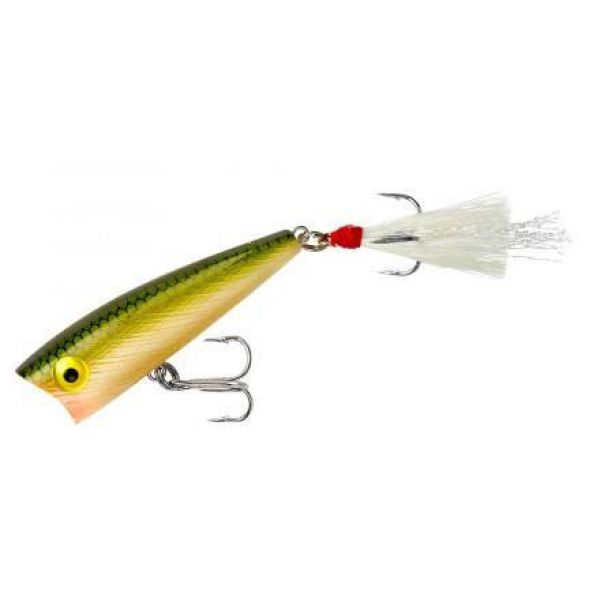 Rebel Pop R - Tennessee Shad