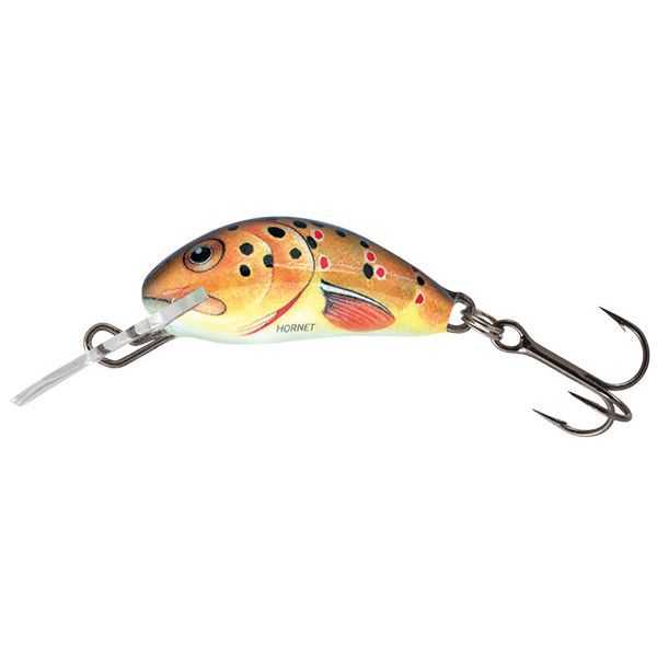 Salmo Hornet 3.5 Floating Crankbait - Trout