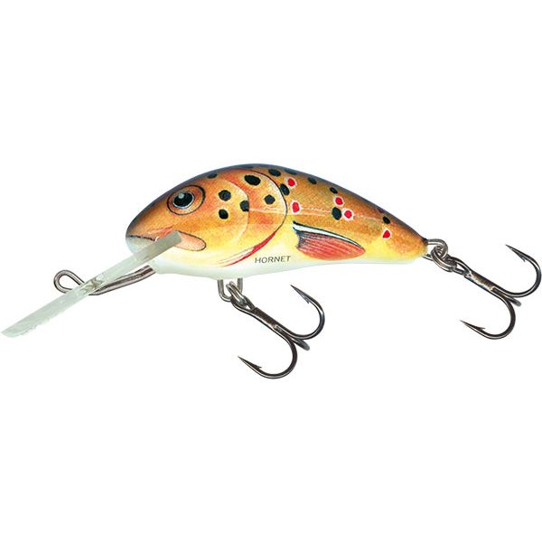 Salmo Hornet 4 Floating Crankbait - Trout