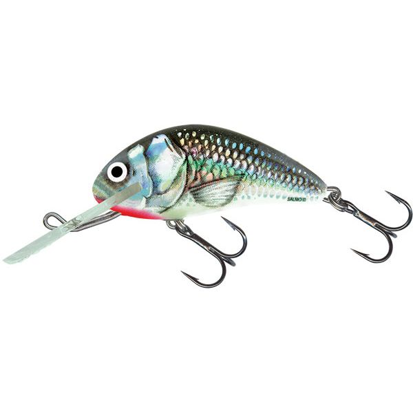 Salmo Hornet 4 Floating Crankbait - Holographic Grey Shiner