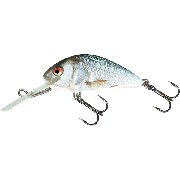 Salmo Hornet 4 Floating Crankbait - Real Dace