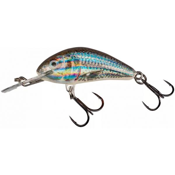 Salmo Hornet 4 Floating Crankbait - Supernatural Shiner