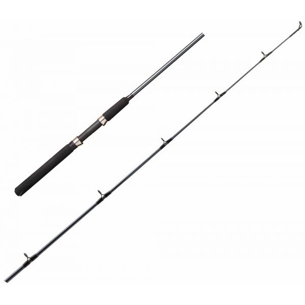 Shimano FXS66MB2 Medium Spinning Rod - 6 ft. 6 in.