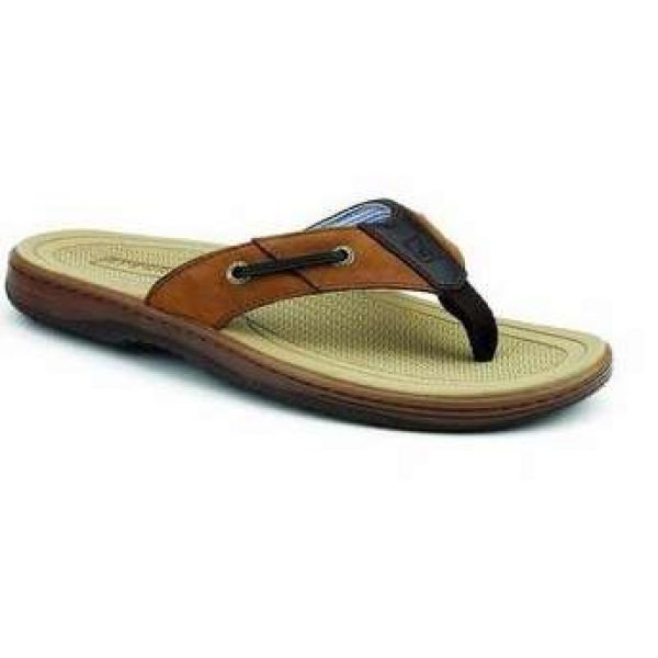 Sperry Baitfish Thong Sandal - Brown/Buc Brown - Size 7M