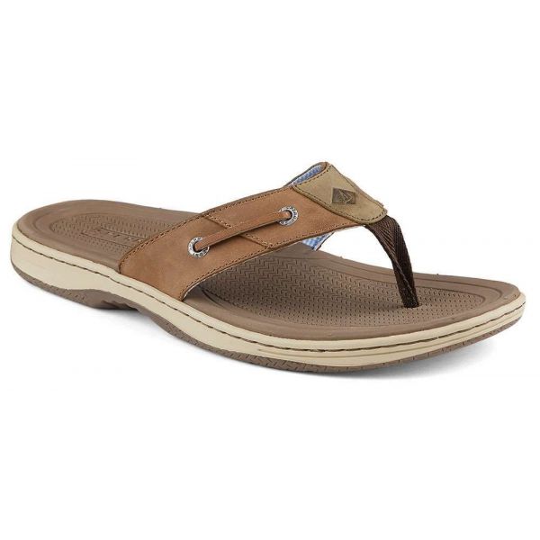 Sperry Baitfish Thong Sandal - Dark Tan - Size 7M