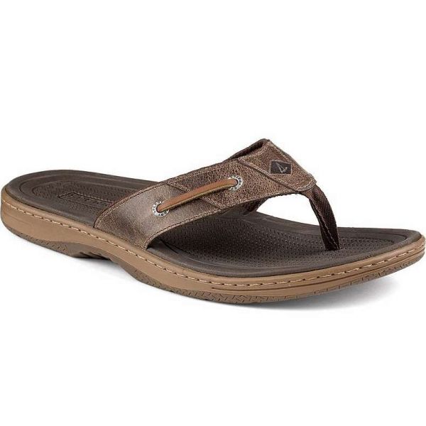 Sperry STS12688 Men's Baitfish Flip-Flop - 7