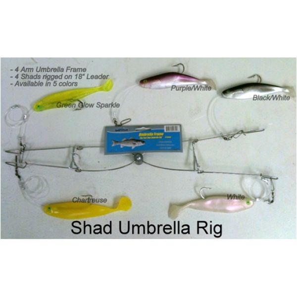 Sportfish 4 Shads Umbrella Rig