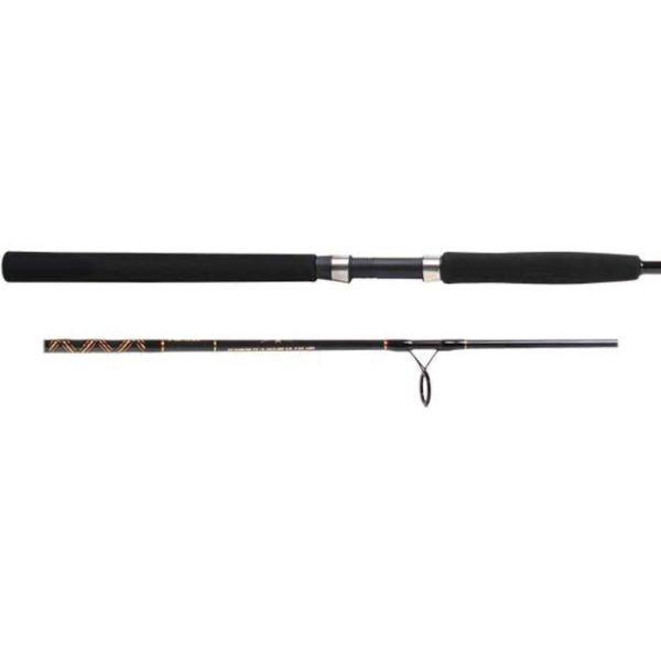 Star Rods EX1020S70E Aerial Spinning Rod