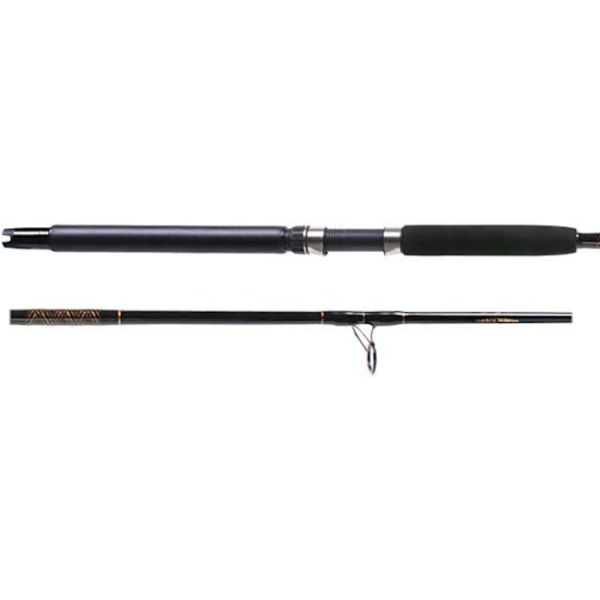 Star Rods EXKFS Aerial Live Bait Spinning Rod