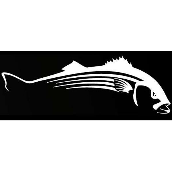 Steelfin Striped Bass Decals - Large White