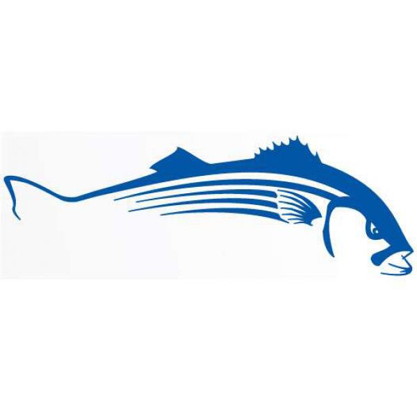 Steelfin Striped Bass Decals - Large Blue