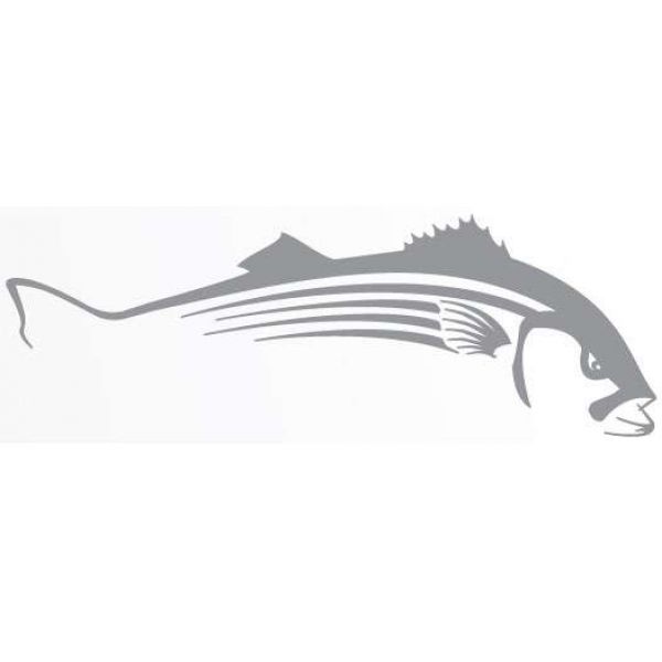 Steelfin Striped Bass Decals - Large Silver