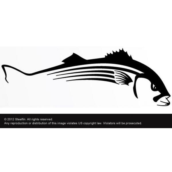 Steelfin Striped Bass Decals