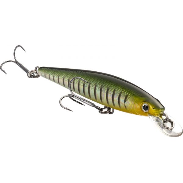 Strike King KVD 100 Jerkbait - Phantom Perch