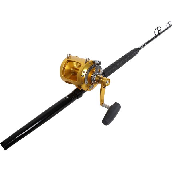 Avet EXW 50/2 Gold / TackleDirect Platinum Hook Standup Combo