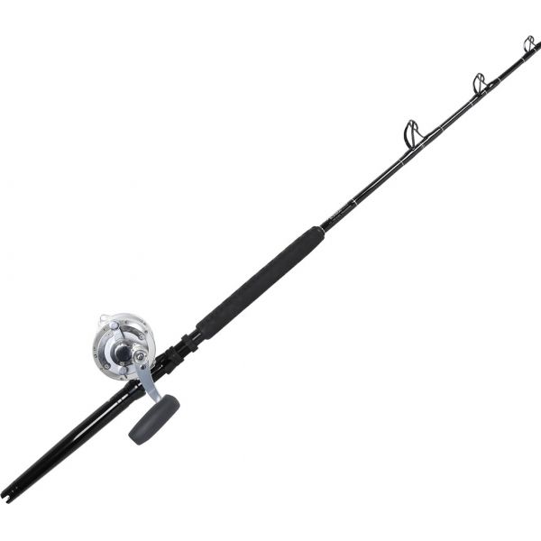 Avet EXW 50/2 Silver / TackleDirect Platinum Hook Standup Combo