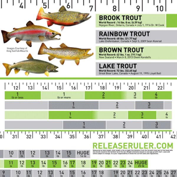 Trout Combo Release Ruler