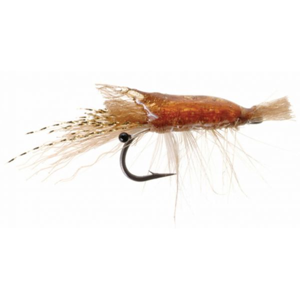 Umpqua Ultra Shrimp Popovics