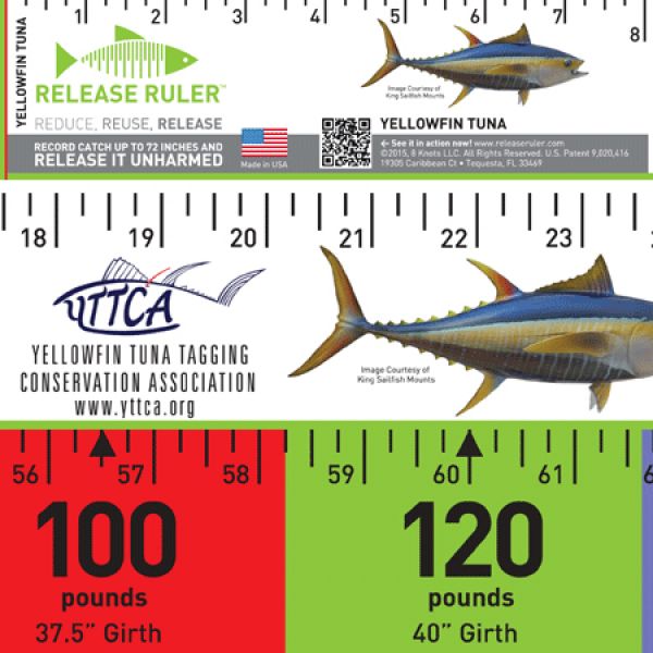 Yellowfin Tuna Release Ruler