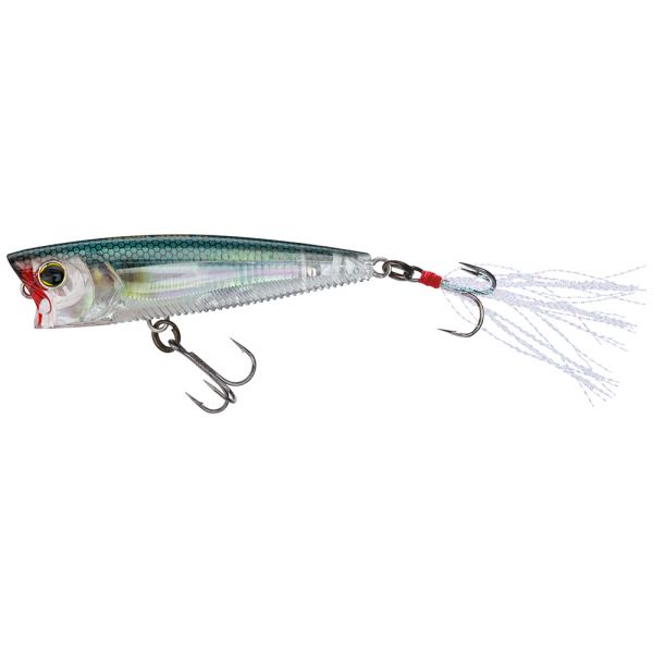 Yo-Zuri R1101 3DB Popper Lure RGSN Real Gizzard Shad