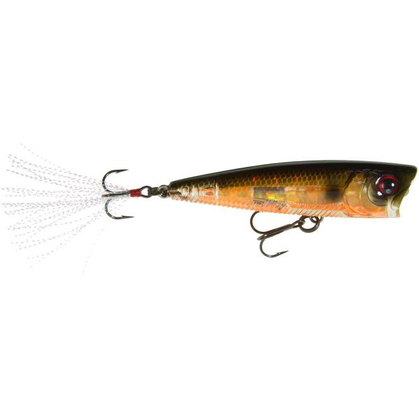 Yo-Zuri R1101 3DB Popper Lure PGBL Prism Gold Black