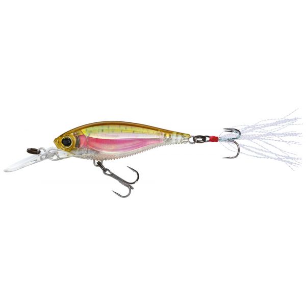 Yo-Zuri R1104 3DB Shad Lure RRT Real Rainbow Trout