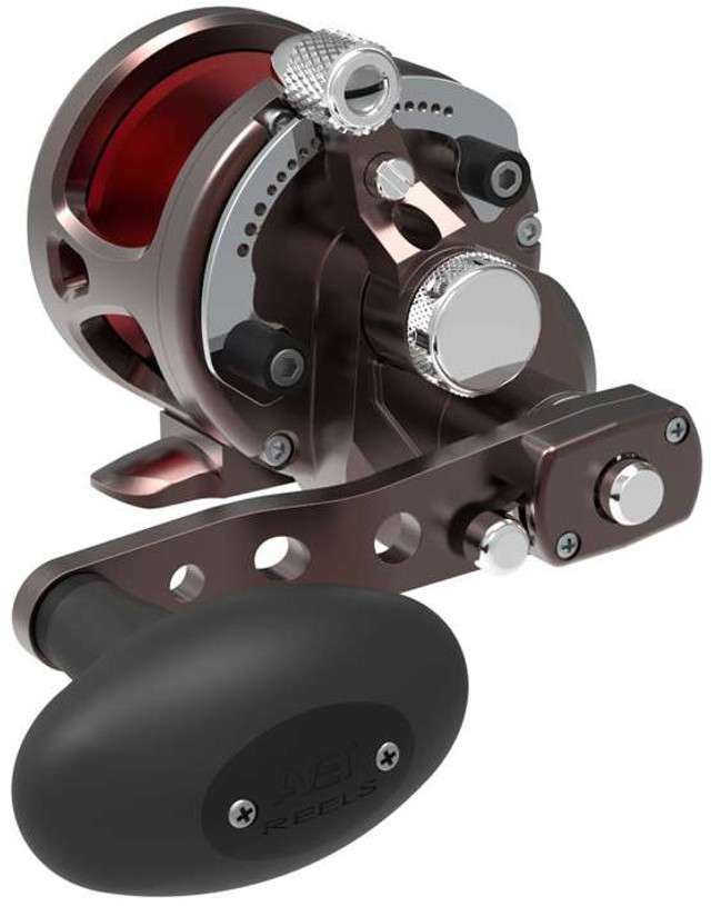 Avet SXJ G2 6 4 2 Speed Reel Neptune s Heart