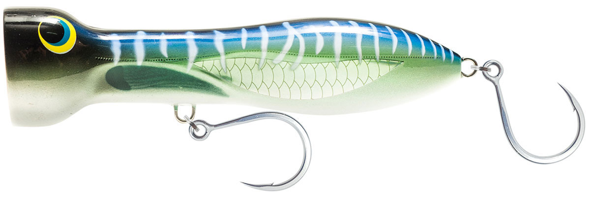Amber Ghost Shad