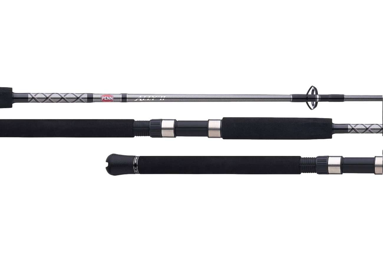 Penn ALLYBWII3050S66 Ally II Boat Spinning Rod