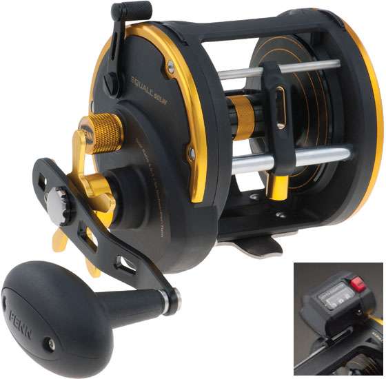Penn Rival Line Counter Level Wind Trolling Reel – Natural Sports - The  Fishing Store