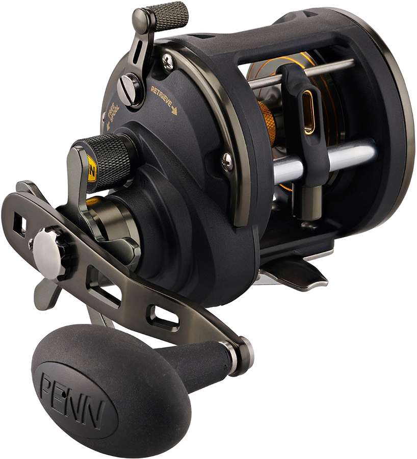 All Sizes Offered Details about   Penn Squall Level Wind Multiplier Trolling Sea Fishing Reel 