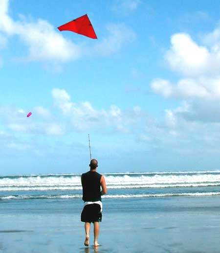 Jay Jigs Pauls Fishing Kites Flexing Wing Fish Kite - TackleDirect