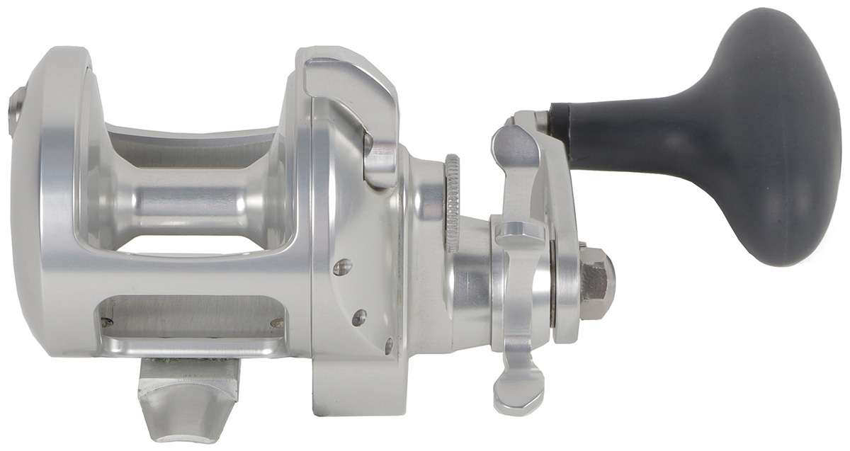 Accurate Tern 2 Star Drag Conventional Reels - TackleDirect