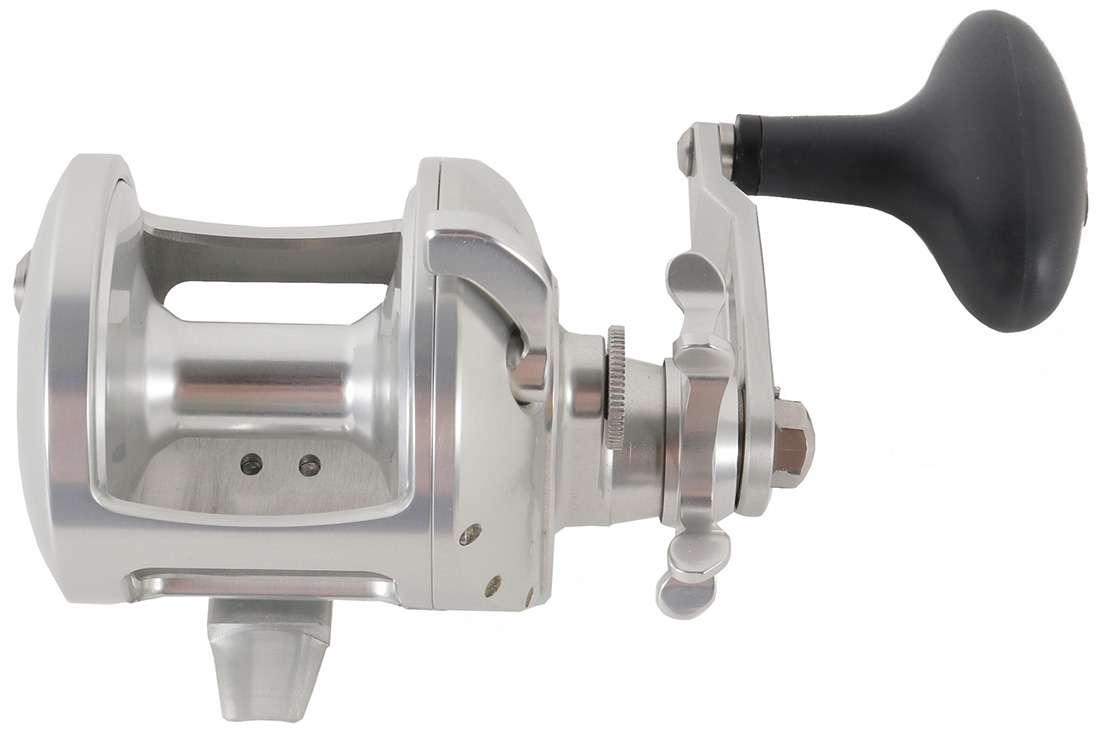 Accurate TXD-500XNL Tern 2 Star Drag Conventional Reel - TackleDirect