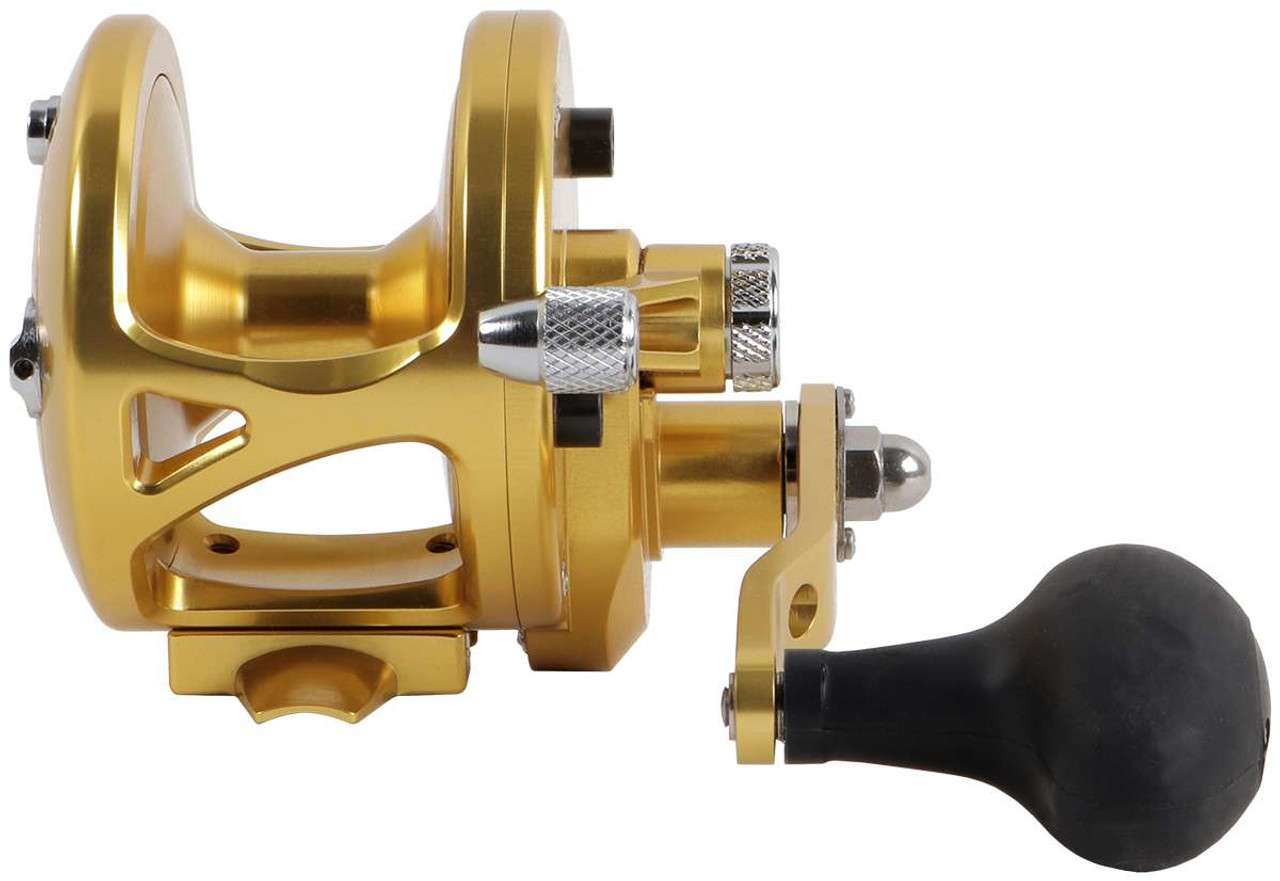 Avet JX 6.0 G2 MC 1 Speed Reel Gold NGP TackleDirect