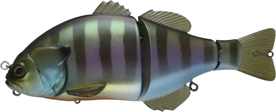 Jackall Gigantic Blue Gill Big Bait GIGANTAREL #RT Mat Gold Gill, Diving  Lures -  Canada